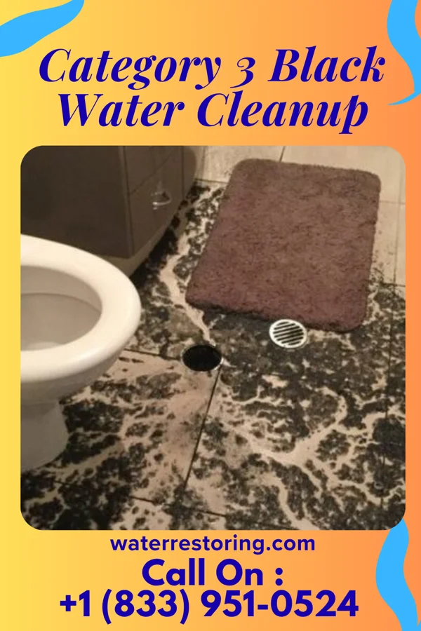 Category 3 Black Water Cleanup in Reynoldsville, PA