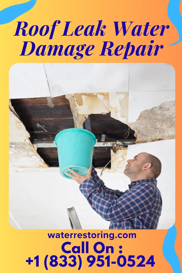 Roof Leak Water Damage Repair in Reynoldsville, PA