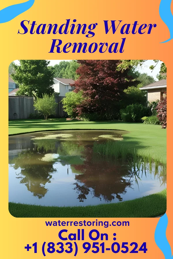 Standing Water Removal in Reynoldsville, PA